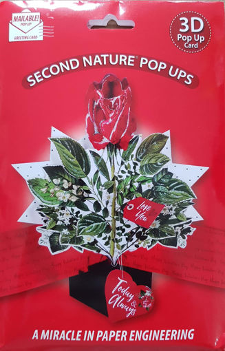 Picture of VALENTINES DAY POP UP CARD